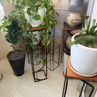 گل وگلدان با استندها