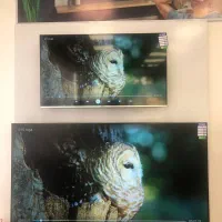 فروش تلویزیون شرایطی بدون سود با تخفیف ویژه|تلویزیون و پروژکتور|مشهد, کوثر|دیوار