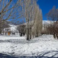 زمین باغ قلات ۱۰۰۰ متری