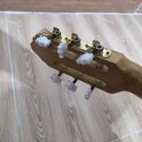 گیتار|گیتار، بیس، امپلیفایر|تولم شهر, |دیوار