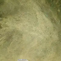 یونجه خشک خرد شده و بذر یونجه|عمدهفروشی|افشار, |دیوار