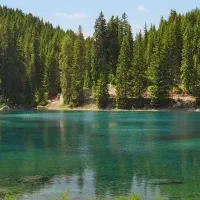 زمین-برای-باغ-و-درخت-کاری