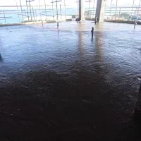 فوم بتن جزیره