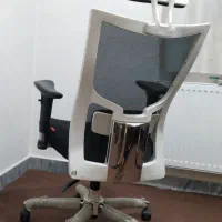 صندلی گردان طبی|صندلی و نیمکت|شبستر, |دیوار