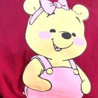 تیشرت زنانه|لباس|بیرجند, |دیوار