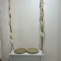 تاب عکاسی سالن