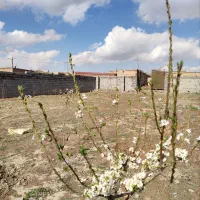 سرمایه گذاری شاهنامه سند۶دانگ پیش پرداخت30ملیون|فروش زمین و ملک کلنگی|مشهد, توس فردوسی|دیوار