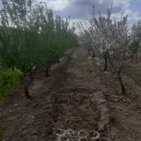 فروش باغ ویلایی