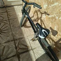 دوچرخه ی ویوا