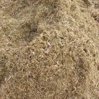 کاه لوبیا چیتی   درجه یک کاه گندم نرم ریز ودرشت