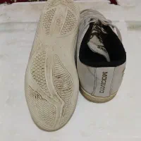 کفش سالن|کیف، کفش، کمربند|بجنورد, |دیوار