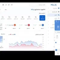 حسابداری حرفه ای چرتکه