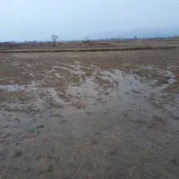 ۷۰۰۰ متر زمین مزروعی تسطیح شده