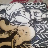 کتیبه سنگی قدیمی سرباز هخامنشی سوار بر فیل