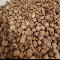 گردو درجه ۱ماله کلانه تازه وخوشمزه