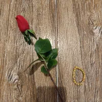 دستبند|بدلیجات|بوشهر, |دیوار