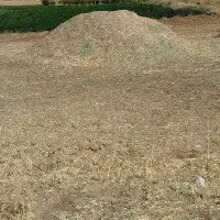 علوفه