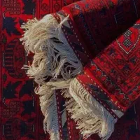 قالیشویی ، مبلشویی ( گیلانا ) کل مناطق