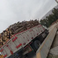 خریدار چوب انجیر کیلویی۲۰هزار
