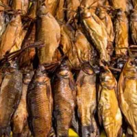 انواع ماهی دودی شمال