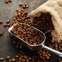 واردات و ترخیص دان قهوه از گمرک
