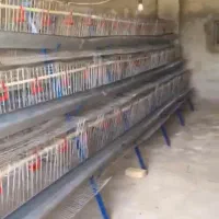 تجهیزات مرغداری و گلخانه