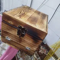 لانه پرنده زینتی