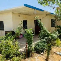 اجاره-کوتاه-مدت-سوییت