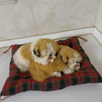 عروسک