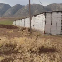 گیلان غرب زمین ۶۰۰۰ متری با سوله پرواربندی