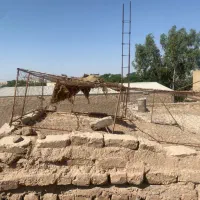 دام