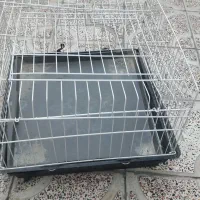 فروش|لوازم جانبی حیوانات|نقده, |دیوار