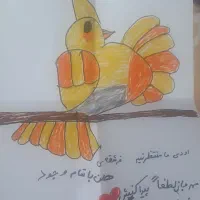 گمشده عروس هلندی به نام اودی|حیوانات|کیش, |دیوار