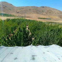 فروش-باغ-وسویت-درصحنه