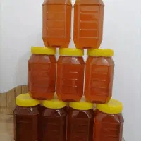 عسلطبیعیگونازپشتکوهیزد، خالصوخوشعطر|خوردنی و آشامیدنی|یزد, |دیوار