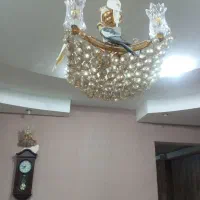 غروس هلندی نر و ماده. حدود 14ماه سن دارن