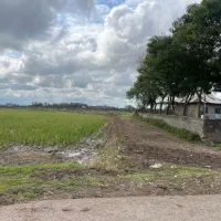 شالیزار-مکانیزه