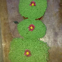 سبزه|خدمات پذیرایی، مراسم|بروجرد, |دیوار