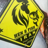 قصاب حرفه ای و مرغ خورد کن