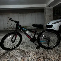 دوچرخه آمانو GT2607 