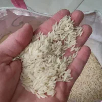 برنج پاکستانی رویال