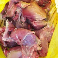 اشغال گوشت مرغ