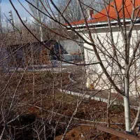 ملک خاص و کم‌نظیر دوبر با منظره زیبا در آبسرد