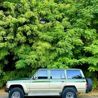 پاترول فیس سافاری|خودرو سواری و وانت|تهران, آذربایجان|دیوار