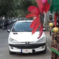 پژو206اس دی تیو فایو