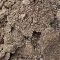 کود مرغی خالص و خاک برگ پوسیده