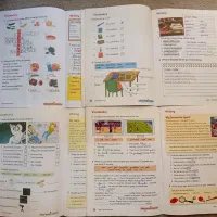 reding and writing|کتاب و مجله آموزشی|کرج, حصارک بالا|دیوار