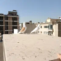 کفتر|پرنده|تهران, زعفرانیه|دیوار