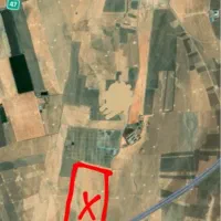 چهل هکتار زمین کشاورزی یک قطعه|فروش دفتر صنعتی، کشاورزی، تجاری|شراء, |دیوار