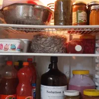 یخچال فریزر امرسان|یخچال و فریزر|محلات, |دیوار